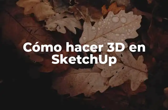 Cómo Hacer 3d en Sketchup