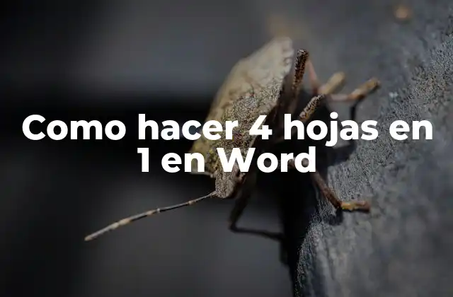 Como Hacer 4 Hojas en 1 en Word
