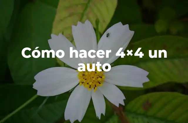 Cómo Hacer 4×4 un Auto