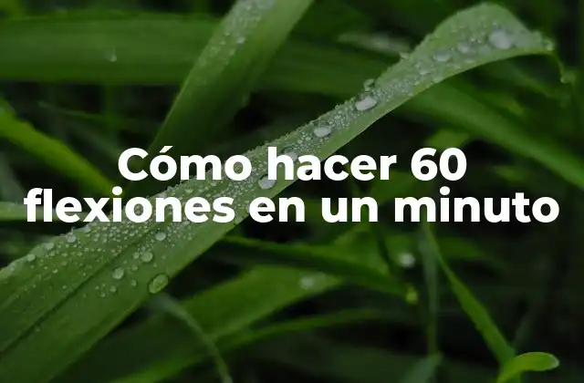 Cómo Hacer 60 Flexiones en un Minuto