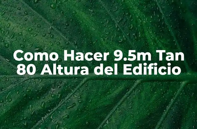 ¿Qué es una Estructura de 9.5m Tan 80 Altura del Edificio?