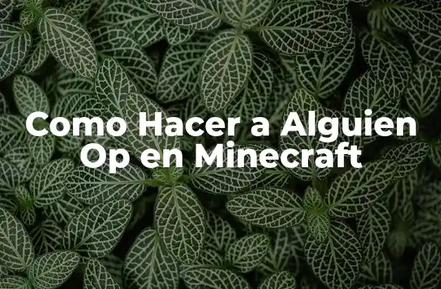 Como Hacer a Alguien Op en Minecraft