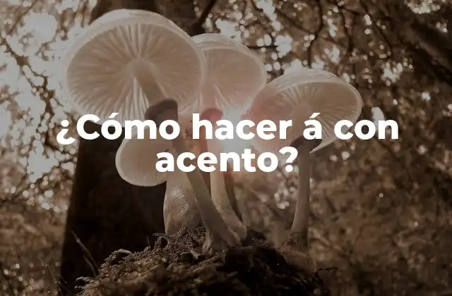 ¿Qué es el acento y para qué sirve?