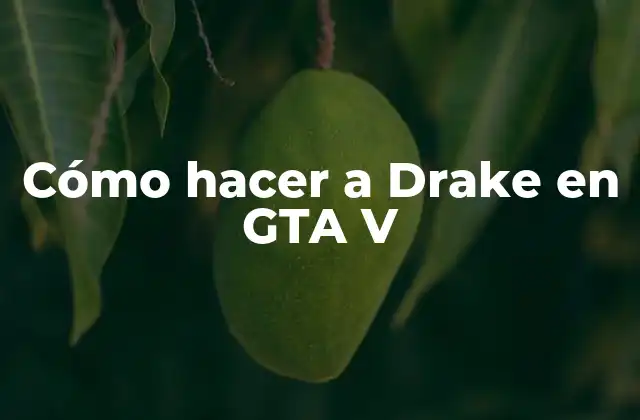 Cómo Hacer a Drake en Gta V