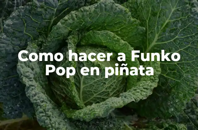 Como Hacer a Funko Pop en Piñata