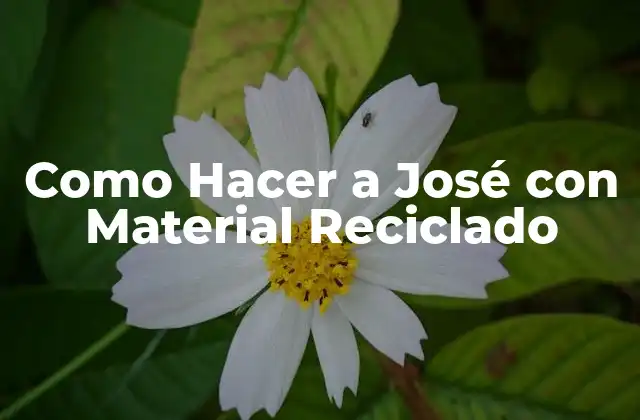 Como Hacer a José con Material Reciclado 2 ¿Qué es un José con Material Reciclado y Para Qué Sirve?