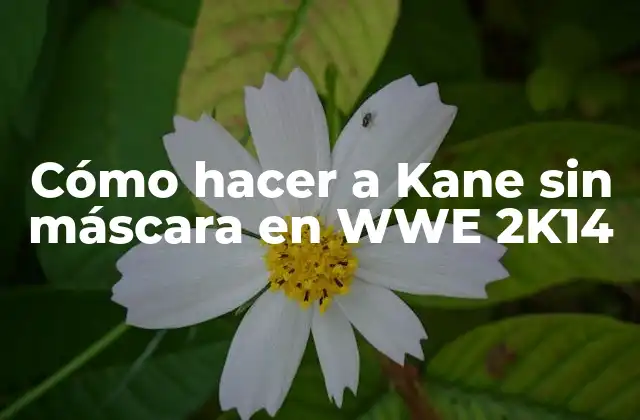 Cómo Hacer a Kane sin Máscara en Wwe 2k14