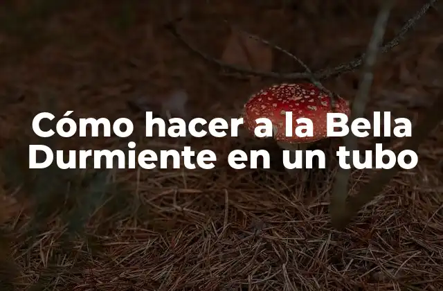 Cómo Hacer a la Bella Durmiente en un Tubo