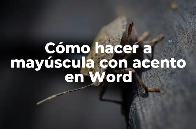 Cómo Hacer a Mayúscula con Acento en Word