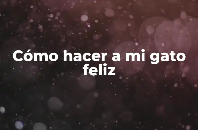 Cómo hacer a mi gato feliz