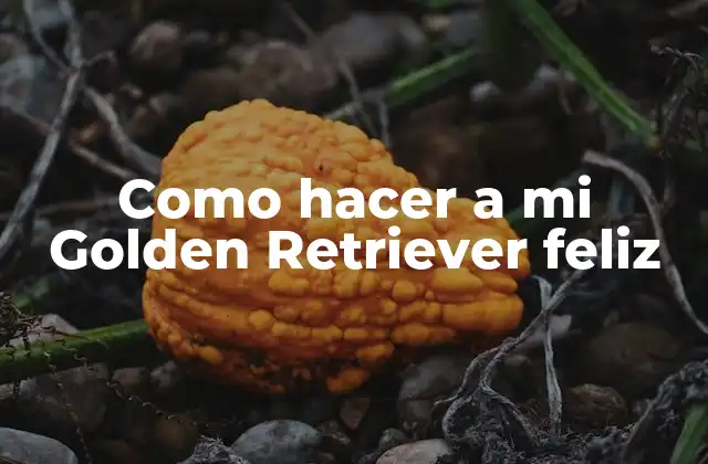 Como Hacer a Mi Golden Retriever Feliz