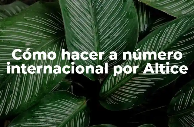 Cómo Hacer a Número Internacional por Altice