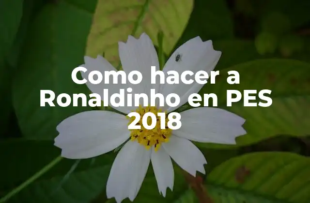 Como Hacer a Ronaldinho en Pes 2018