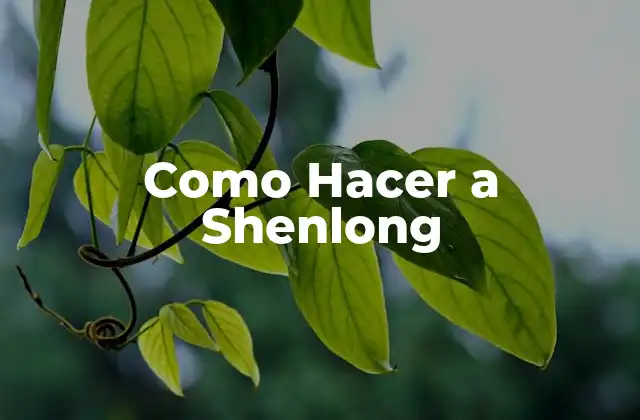 Como Hacer a Shenlong