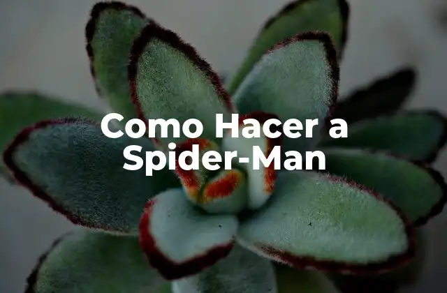 Como Hacer a Spider-man