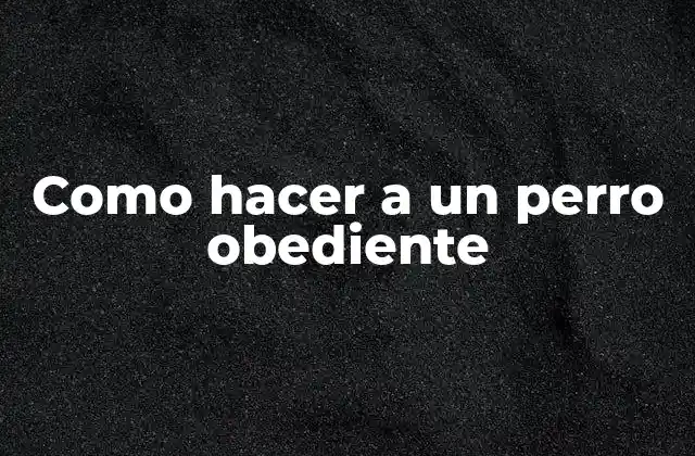 Como Hacer a un Perro Obediente