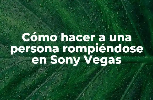 Cómo Hacer a una Persona Rompiéndose en Sony Vegas
