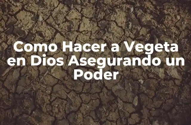 Como Hacer a Vegeta en Dios Asegurando un Poder