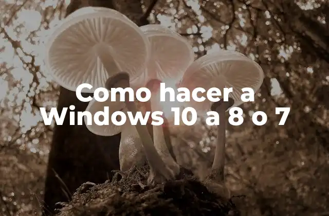 Como Hacer a Windows 10 a 8 o 7