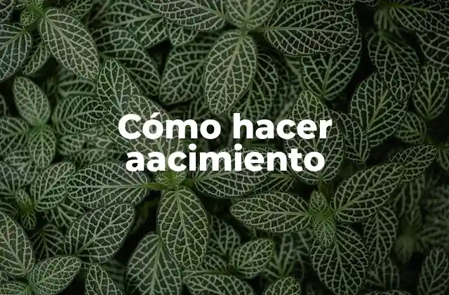 Cómo Hacer Aacimiento