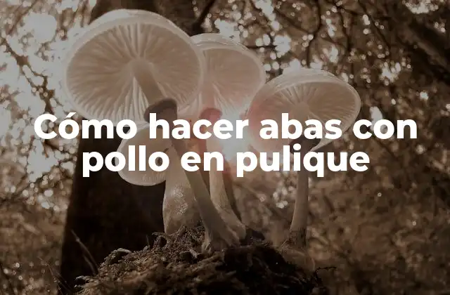 Cómo Hacer Abas con Pollo en Pulique
