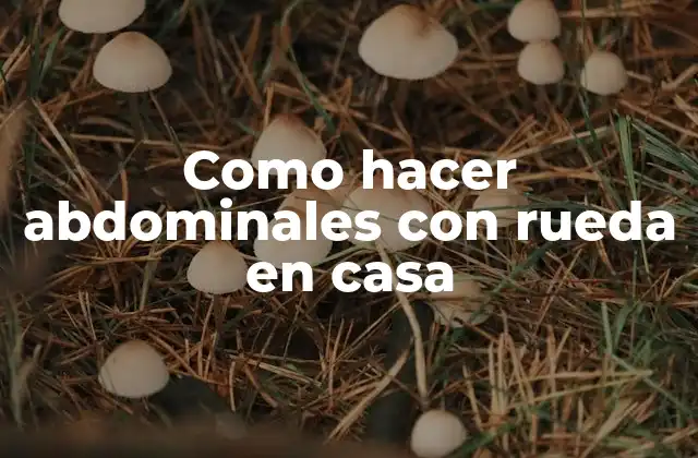 Como Hacer Abdominales con Rueda en Casa