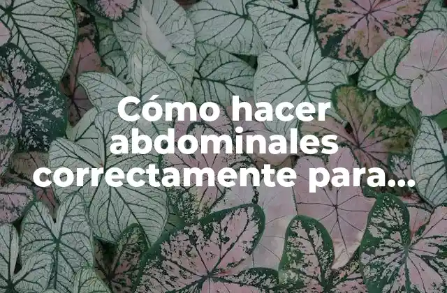 Cómo Hacer Abdominales Correctamente para Hombres