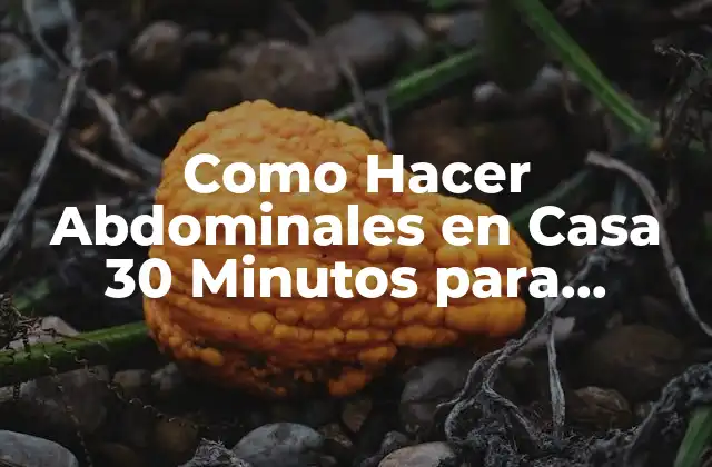 Como Hacer Abdominales en Casa 30 Minutos para Abdominales Perfectos