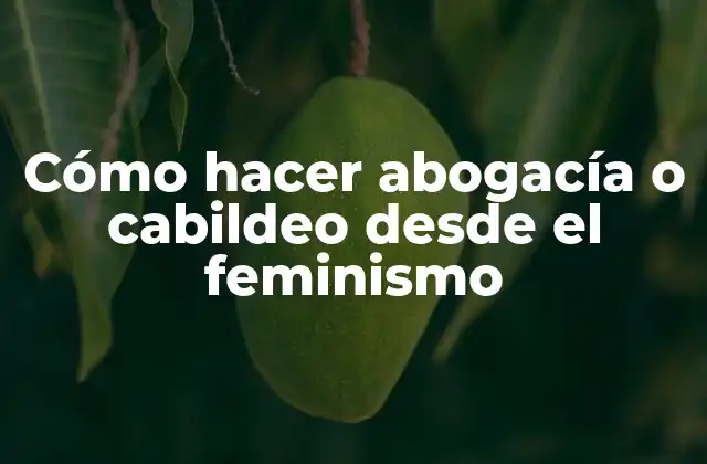 Cómo Hacer Abogacía o Cabildeo desde el Feminismo