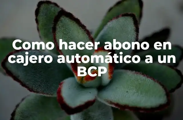 Como Hacer Abono en Cajero Automático a un Bcp 2 ¿Qué es el abono en cajero automático a un BCP?