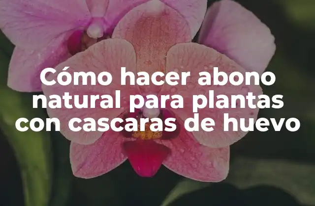 Cómo Hacer Abono Natural para Plantas con Cascaras de Huevo