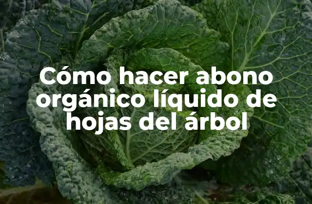 Cómo Hacer Abono Orgánico Líquido de Hojas Del Árbol
