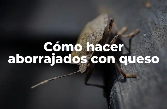 Cómo Hacer Aborrajados con Queso 2 ¿Qué son los aborrajados con queso?