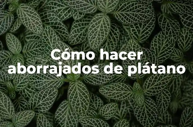 Cómo Hacer Aborrajados de Plátano