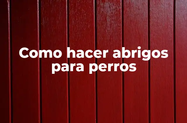 Qué es un abrigo para perros y para qué sirve