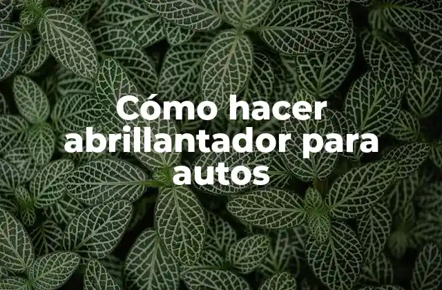 Cómo Hacer Abrillantador para Autos