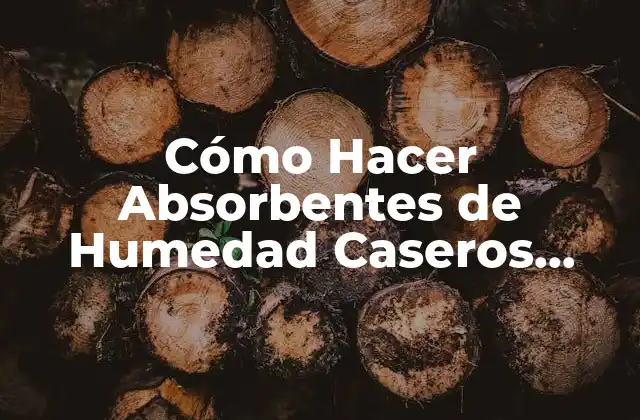Cómo Hacer Absorbentes de Humedad Caseros Fáciles y Efectivos