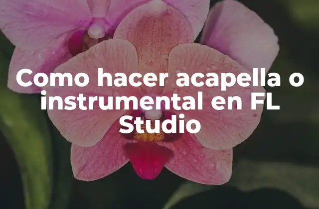 Como Hacer Acapella o Instrumental en Fl Studio