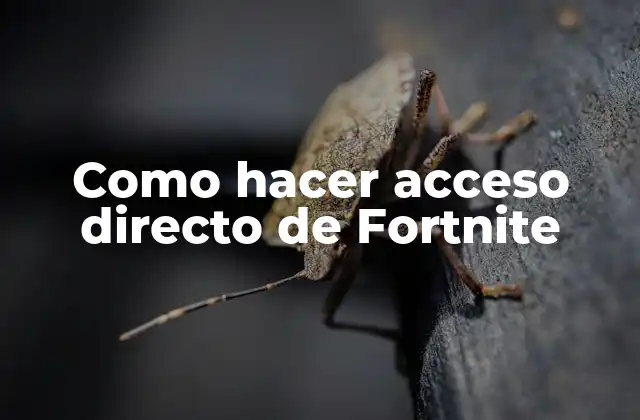 Como Hacer Acceso Directo de Fortnite