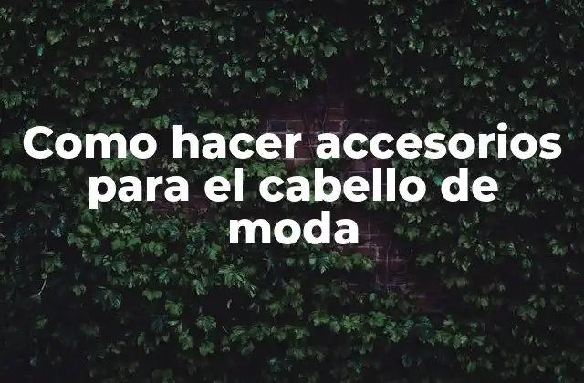 Accesorios para el cabello de moda