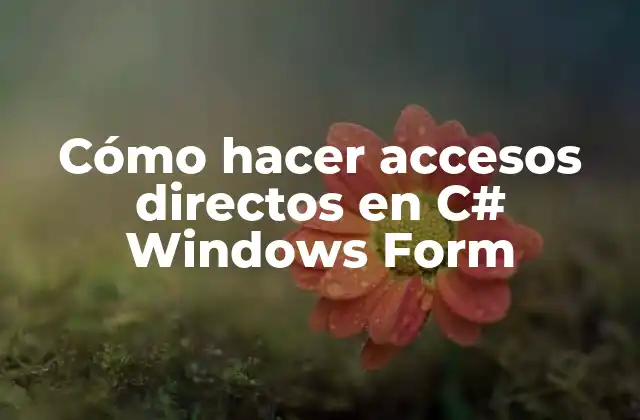 Cómo Hacer Accesos Directos en C# Windows Form