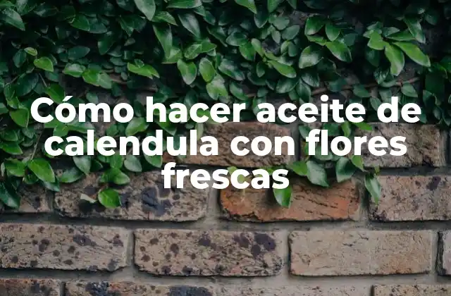 Cómo Hacer Aceite de Calendula con Flores Frescas