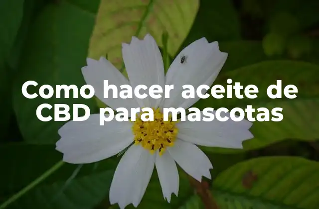 Como Hacer Aceite de Cbd para Mascotas