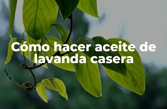 Cómo Hacer Aceite de Lavanda Casera