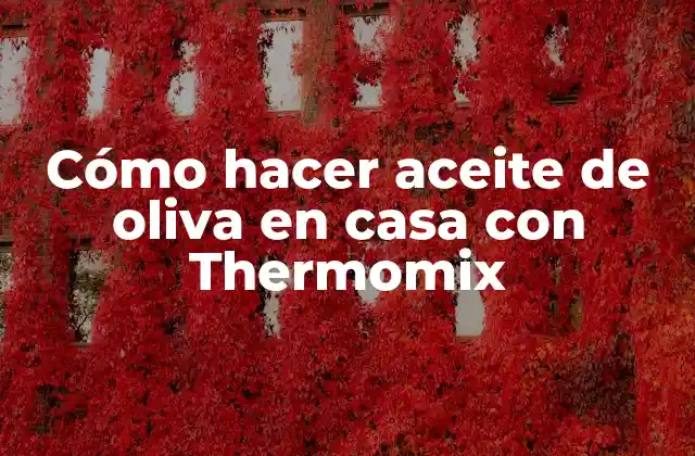 Cómo Hacer Aceite de Oliva en Casa con Thermomix