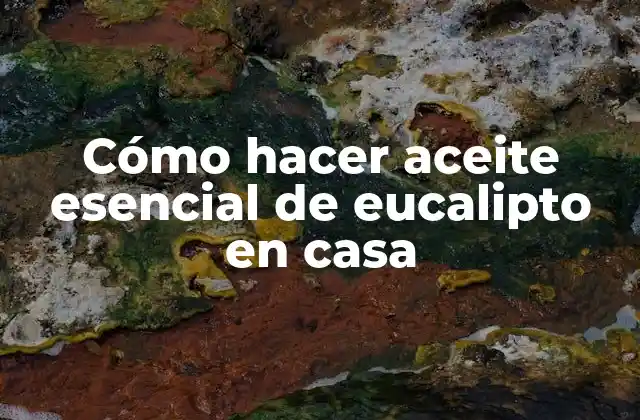 Cómo Hacer Aceite Esencial de Eucalipto en Casa