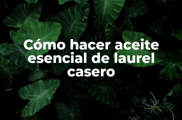 Cómo Hacer Aceite Esencial de Laurel Casero