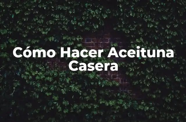 Cómo Hacer Aceituna Casera 2 Cómo Hacer Aceituna Casera