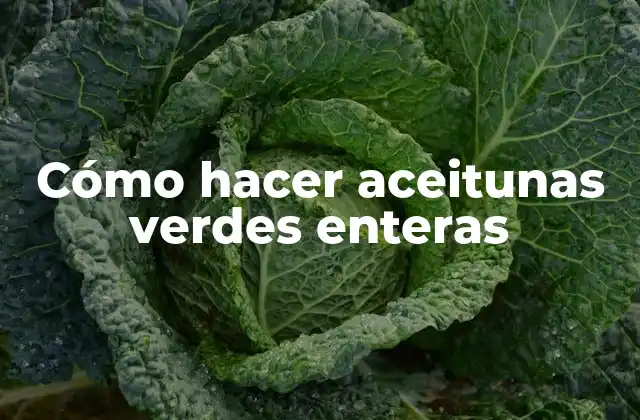 Cómo Hacer Aceitunas Verdes Enteras