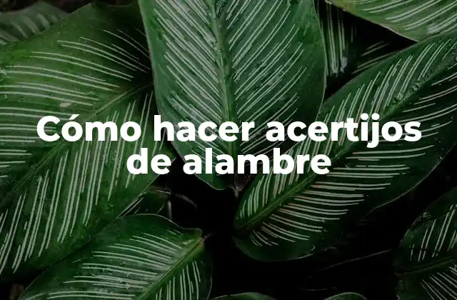 Cómo Hacer Acertijos de Alambre